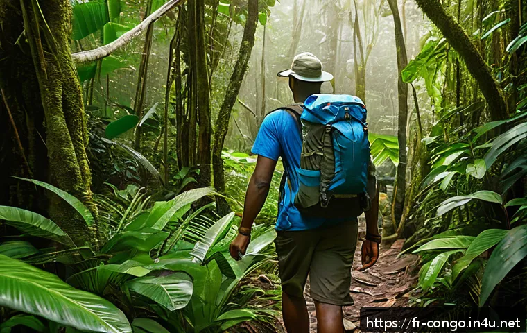 Découvrir la République du Congo en toute sécurité : conseils essentiels pour un voyage réussi 3 콩고 공화국에서 주의해야 할 여행 팁 관련 이미지 1